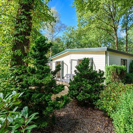Luxe Familiehuis Veluwe 4-6 Persons Pool Kids Dog Hoenderloo Exterior photo